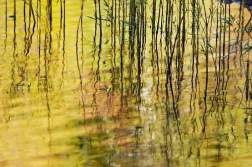 pond;Grass;Abstraction;Patterns;Reeds;river;Tennessee;water;Horizontal;Mirror;Big South Fork Cumberland River;Big South Fork National Recreation Area;Rachel;Oneida;reflections;Abstracts;Abstract;Leatherwood Ford